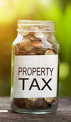 Property Tax Law