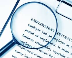 Employment Law