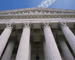 The U.S. Federal Court System