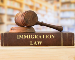 Immigration Terms