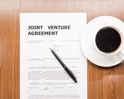 Partnerships, Limited Partnerships and Joint Ventures