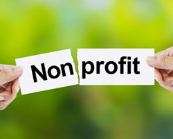 An Overview of Nonprofit Organizations