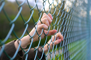 Immigration: Detention & Custody