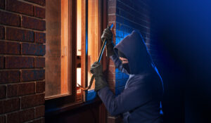 The Theft Crimes of Burglary and Larceny
